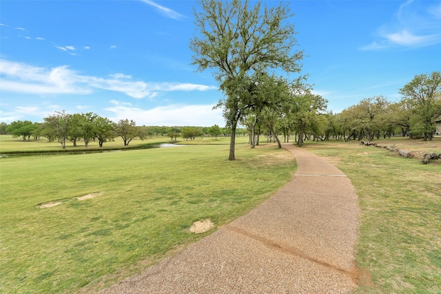 view of community featuring a lawn
