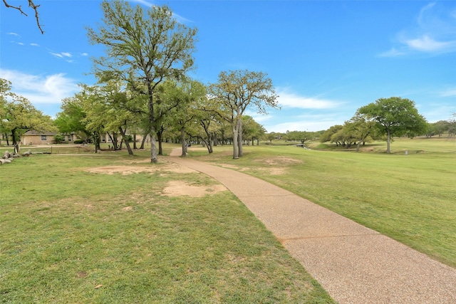 view of community with a yard