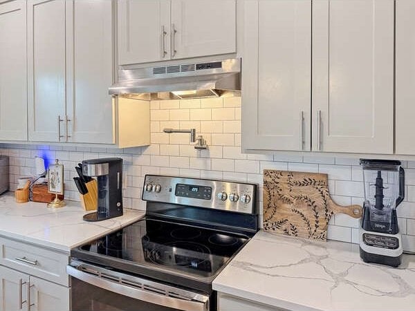 100 Winchester Cir, Gun Barrel City, TX 75156 - kitchen featuring light stone countertops, tasteful backsplash, under cabinet range hood, and stainless steel electric stove