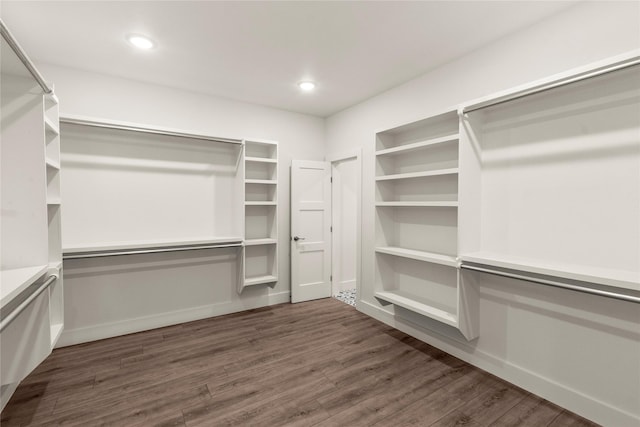 spacious closet featuring dark wood-style flooring
