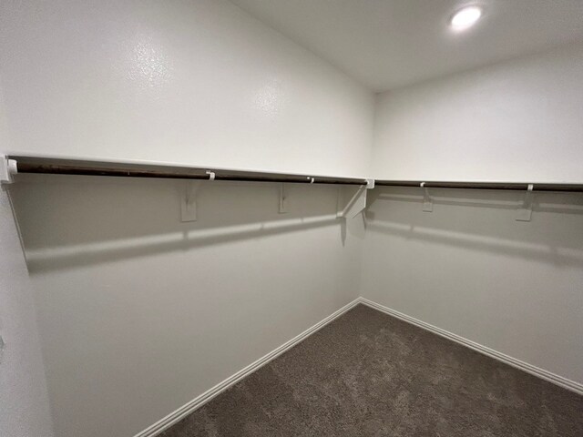 spacious closet with dark colored carpet