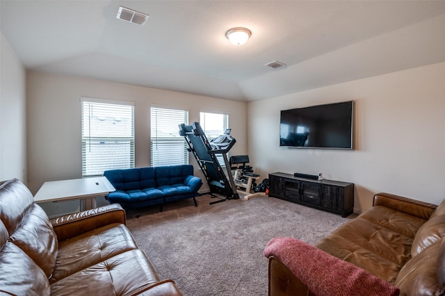 799 Bayberry Ln, Princeton, TX 75407 - living area featuring visible vents, carpet, and vaulted ceiling