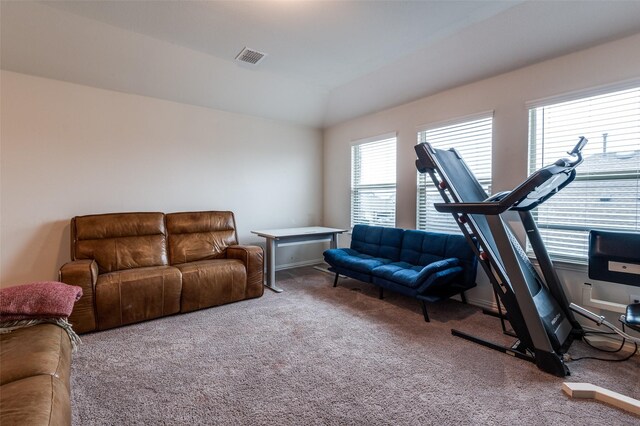 799 Bayberry Ln, Princeton, TX 75407 - interior space with carpet floors, lofted ceiling, and visible vents