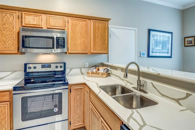 775 Marble Canyon Cir, Irving, TX 75063 - kitchen featuring a sink, crown molding, stainless steel appliances, and a peninsula