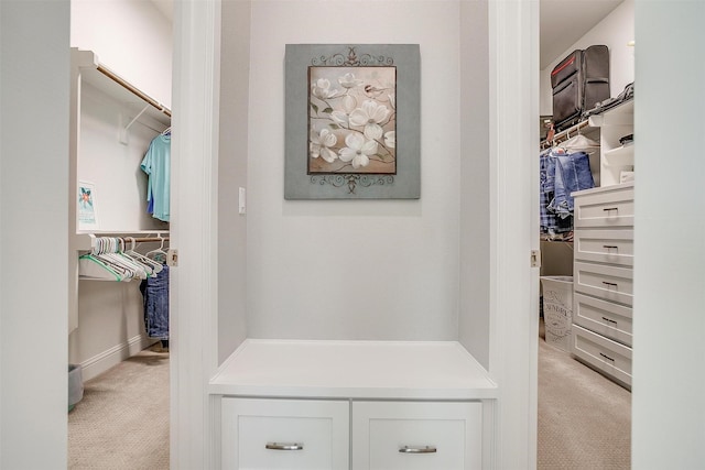 spacious closet with light carpet