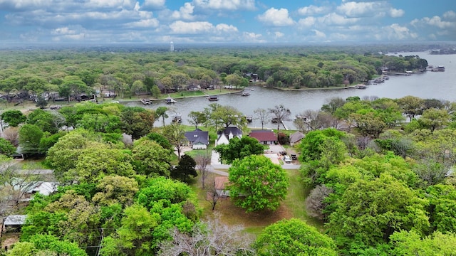 bird's eye view featuring a water view and a wooded view