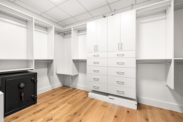 walk in closet with a paneled ceiling and light wood-style floors