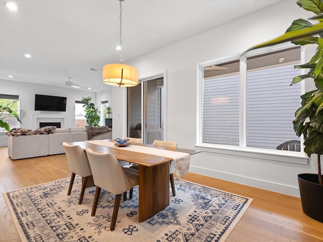 dining space featuring recessed lighting, a fireplace, light wood-style flooring, and a ceiling fan