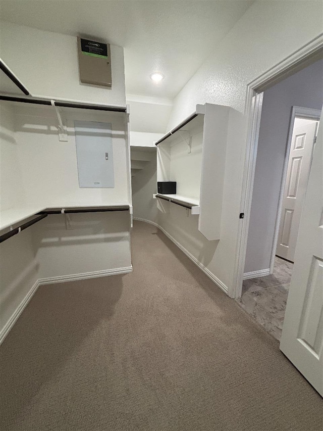 walk in closet featuring carpet