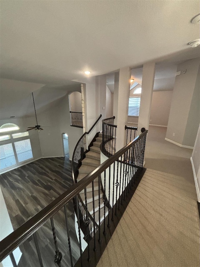 stairway featuring baseboards, a ceiling fan, and carpet flooring