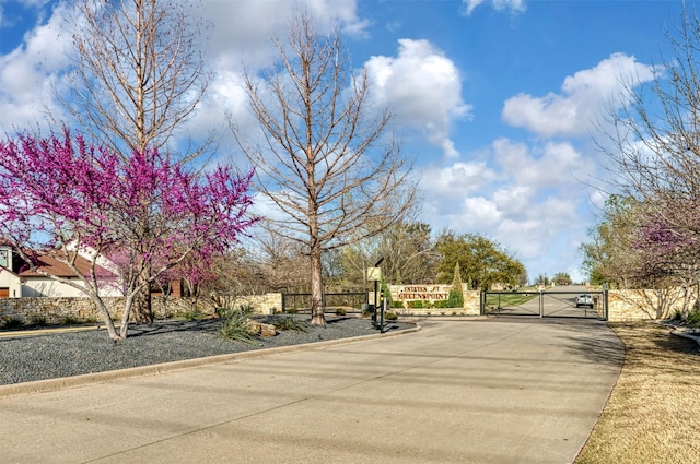 431 Lakepoint Cir, Prosper, TX 75078 - view of concrete road with a gate and curbs