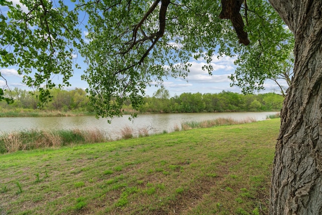 301 Tin Top Estates Rd, Weatherford, TX 76087 - water view featuring a heavily wooded area