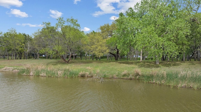 301 Tin Top Estates Rd, Weatherford, TX 76087 - water view