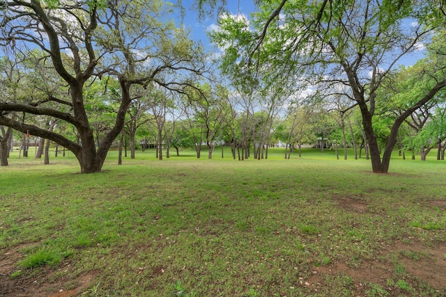 301 Tin Top Estates Rd, Weatherford, TX 76087 - view of green lawn