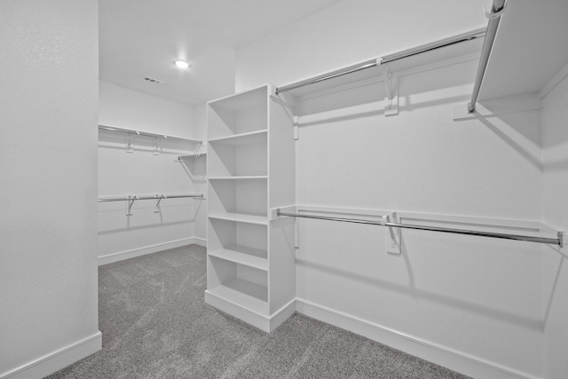 248 Diamond Dl, Lavon, TX 75166 - walk in closet featuring carpet floors