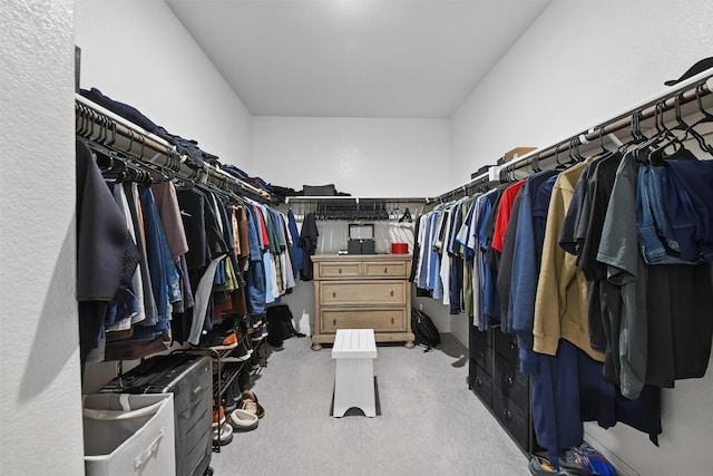 spacious closet featuring carpet