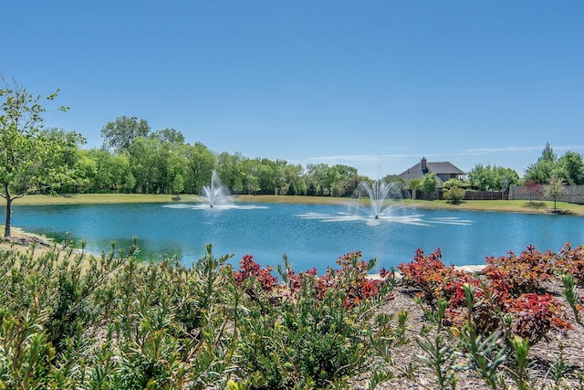971 Abbott Ln, Allen, TX 75013 - water view