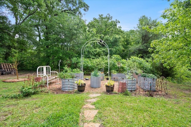 view of yard with a vegetable garden