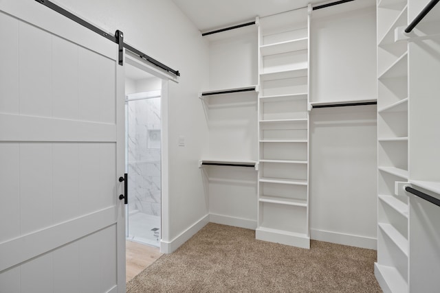 walk in closet featuring light colored carpet and a barn door