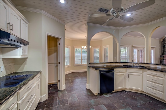 kitchen featuring black electric cooktop, a healthy amount of sunlight, under cabinet range hood, and visible vents