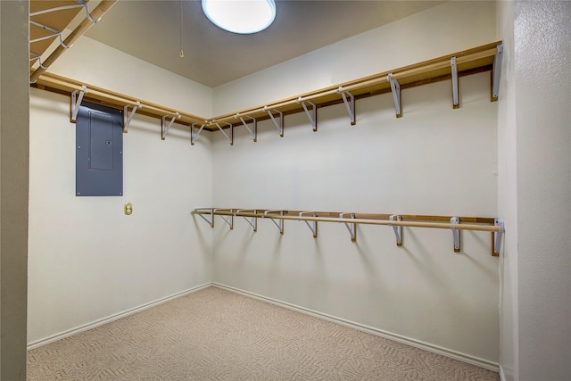 walk in closet with electric panel and carpet