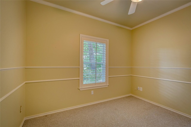 empty room with baseboards, carpet, and crown molding
