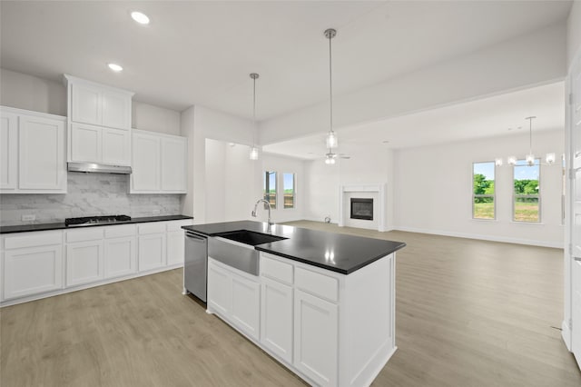 2413 Rams Horn, Waxahachie, TX 75167 - kitchen featuring appliances with stainless steel finishes, under cabinet range hood, dark countertops, a sink, and light wood-type flooring