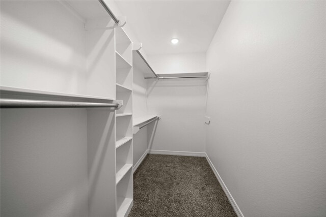 12908 County Road 463, Tyler, TX 75706 - walk in closet with carpet floors