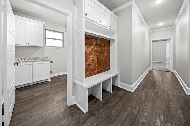 12908 County Road 463, Tyler, TX 75706 - mudroom featuring ornamental molding, baseboards, and dark wood-style floors