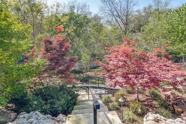 10989 Crooked Creek Dr, Dallas, TX 75229 - view of yard