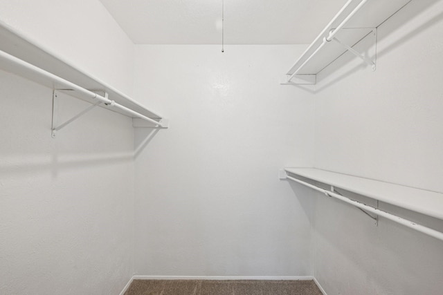 716 Meadow Mead Dr, Allen, TX 75002 - walk in closet featuring carpet