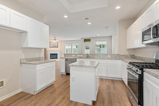 5013 Royal Burgess Dr, Fort Worth, TX 76135 - kitchen with a ceiling fan, a sink, stainless steel appliances, light countertops, and visible vents