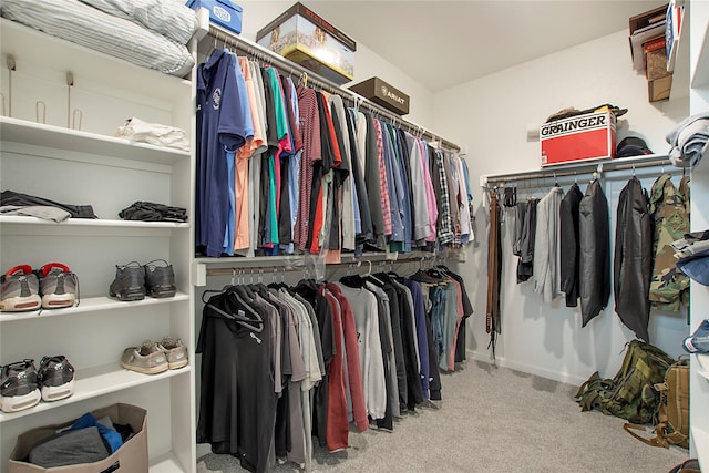3908 Rochelle St, Celina, TX 75009 - walk in closet featuring carpet floors