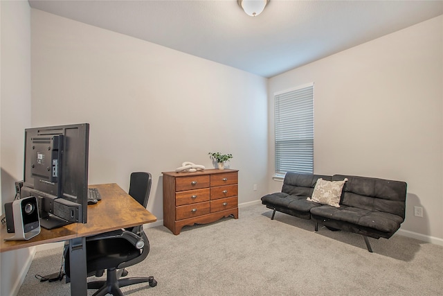 3908 Rochelle St, Celina, TX 75009 - office space with carpet flooring