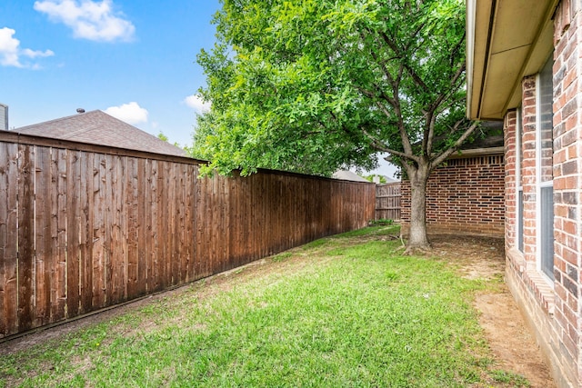 8234 Winter Falls Trl, Fort Worth, TX 76053 - view of yard