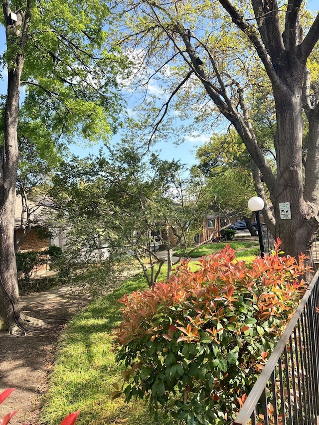 13633 Weald Green St, Dallas, TX 75240 - view of yard