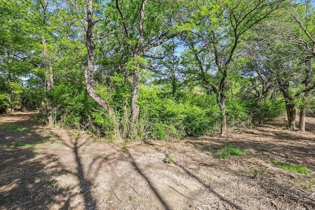 1425 Fm 1830, Argyle, TX 76226