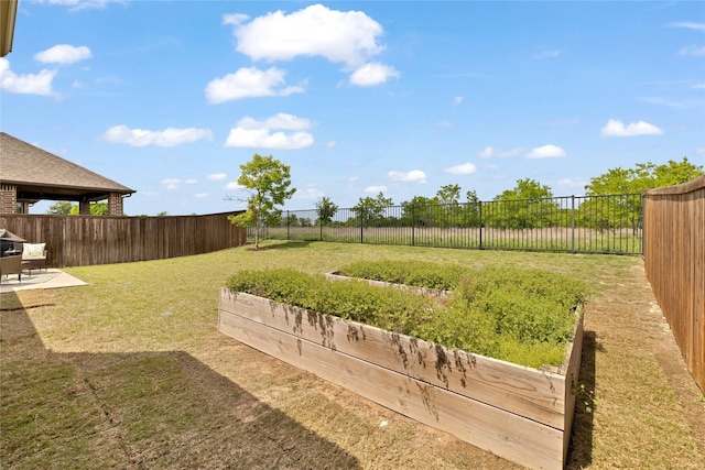 view of yard featuring a fenced backyard and a patio