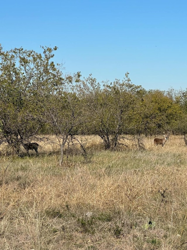view of nature featuring a rural view