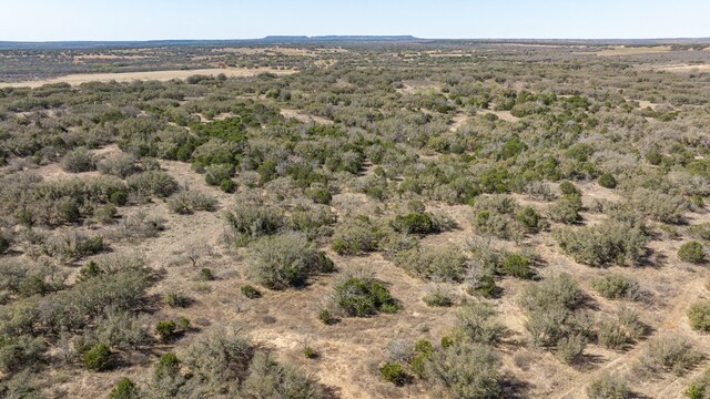 5324 Fm 568, Santa Anna, TX 76878