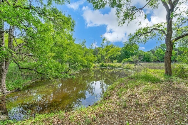 property view of water featuring a view of trees