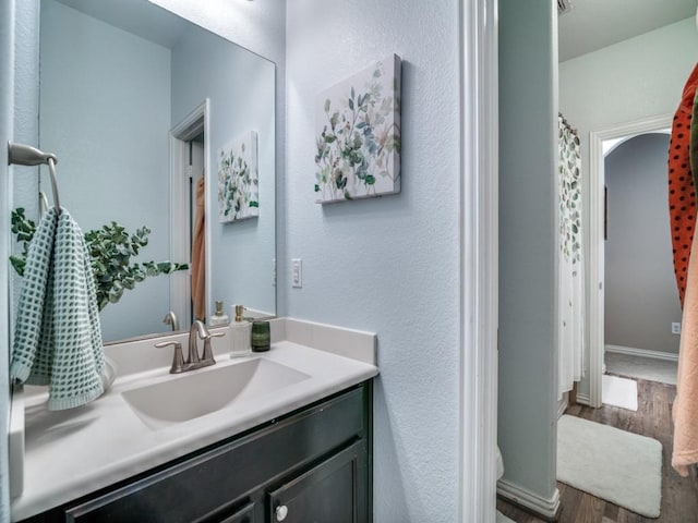 175 Balfour Dr, Fate, TX 75189 - bathroom with wood finished floors and vanity
