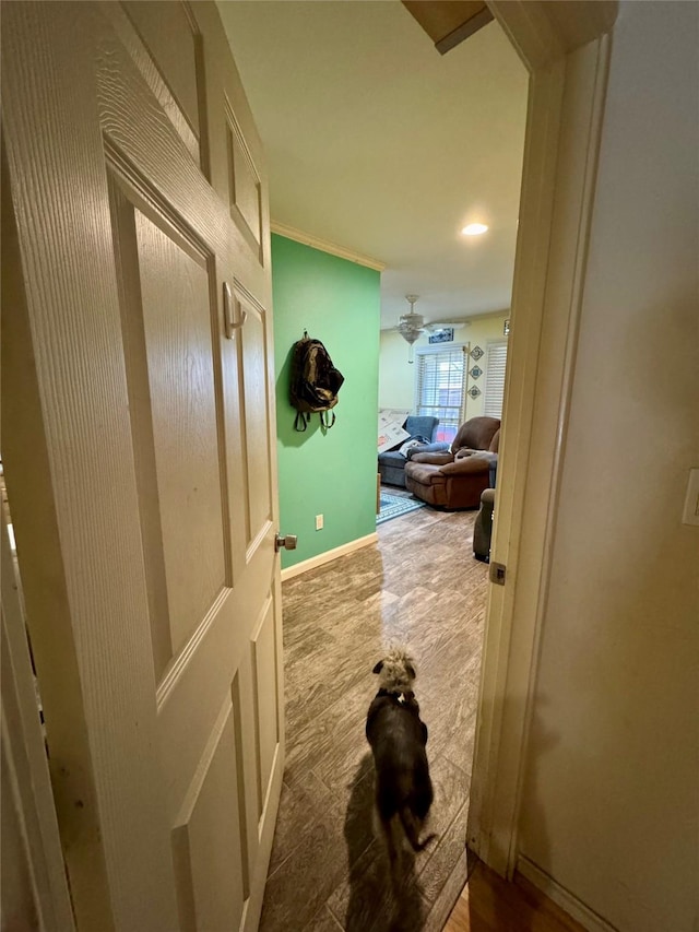 2124 Parkhaven Dr, Plano, TX 75075 - hallway featuring carpet flooring and baseboards