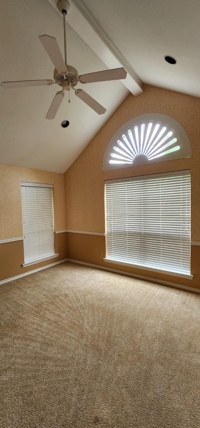 carpeted empty room featuring ceiling fan and lofted ceiling with beams