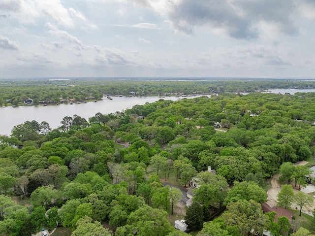 aerial view featuring a water view and a view of trees