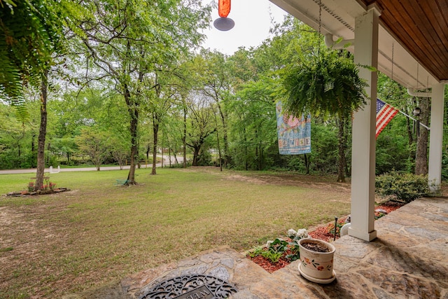 view of yard with a patio