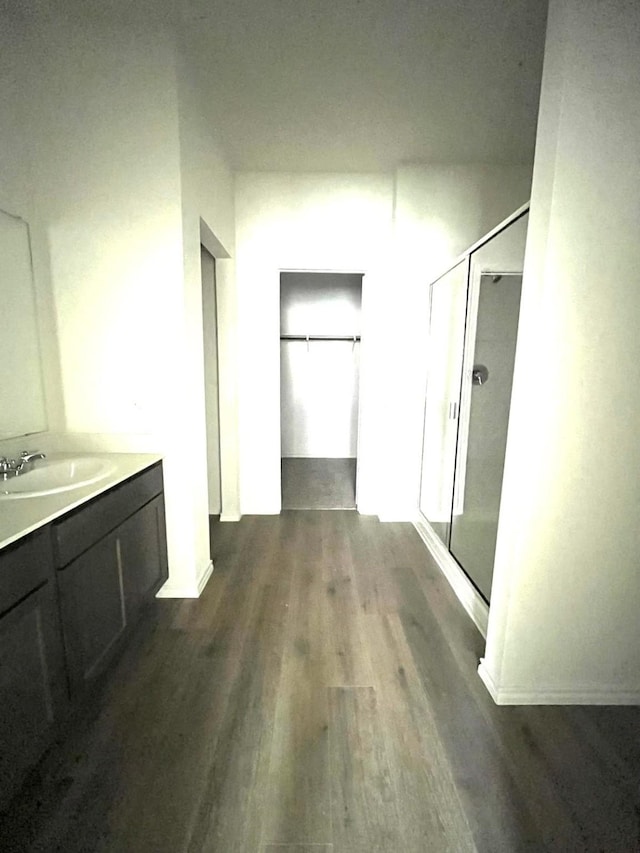 full bathroom featuring a shower stall, wood finished floors, vanity, and a spacious closet