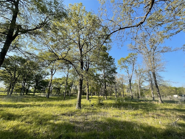 0000 Fm 1563, Wolfe City, TX 75496