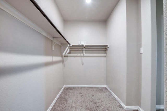 5219 Amistad Ave, Royse City, TX 75189 - walk in closet featuring carpet flooring