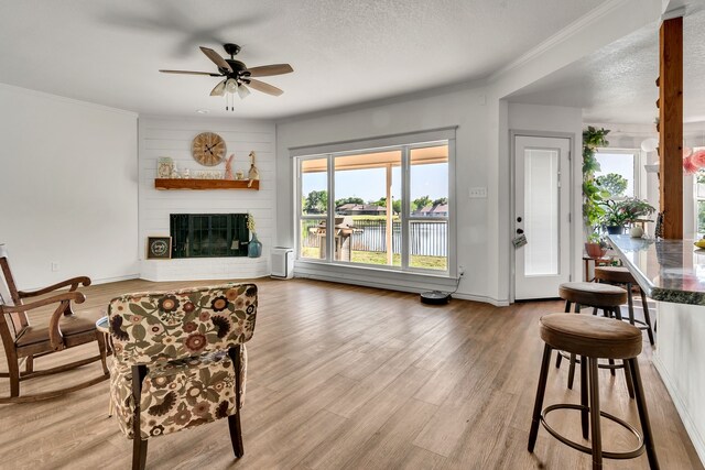 105 Park Trail Pl, Joshua, TX 76058 - living area with ceiling fan, crown molding, light wood finished floors, a fireplace, and baseboards